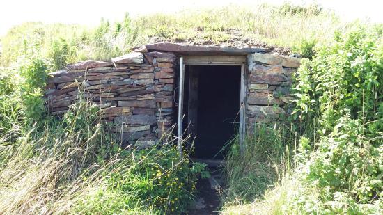 Elliston's Root Cellars
